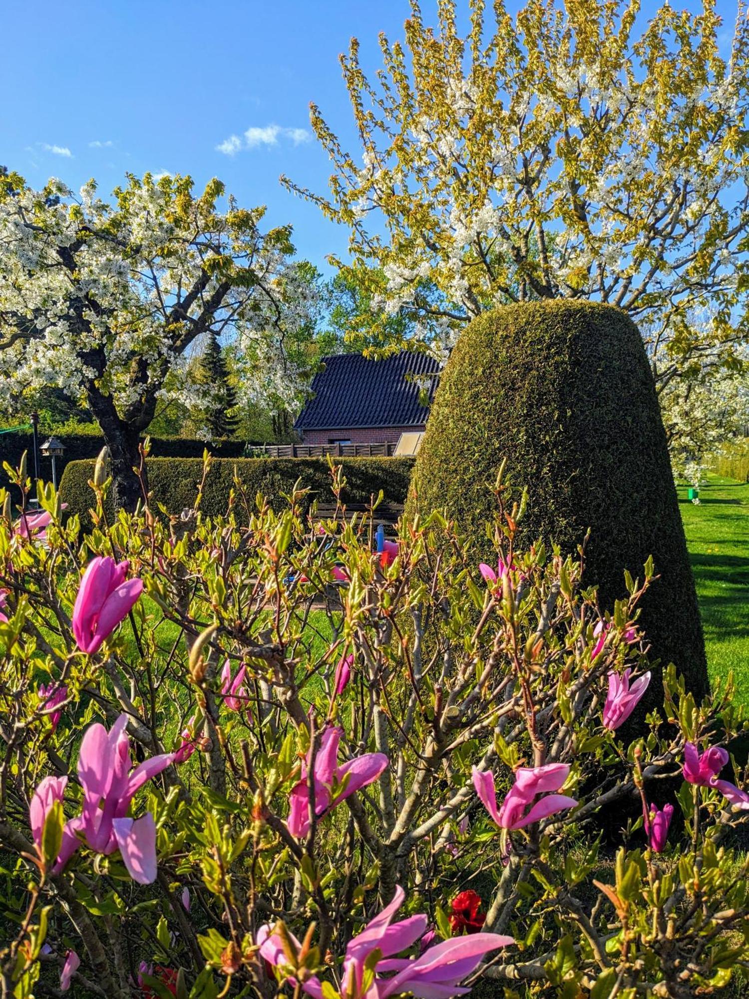 JornstorfHaeuschen Im Gruenen别墅 外观 照片